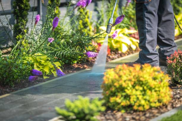 Professional Pressure Washing Services in Sartell, MN